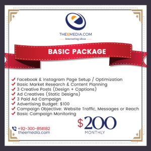 Social Media Marketing Basic Package
